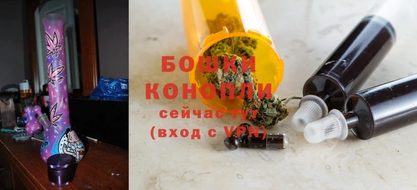 прущие грибы Краснослободск