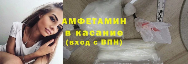 прущие грибы Краснослободск