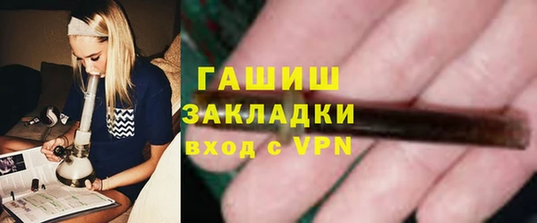 прущие грибы Краснослободск