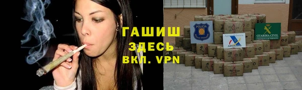 прущие грибы Краснослободск