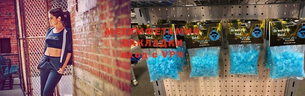 прущие грибы Краснослободск