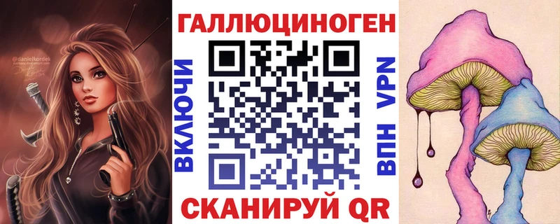 Купить закладки Любань Галлюциногенные грибы Psilocybine cubensis